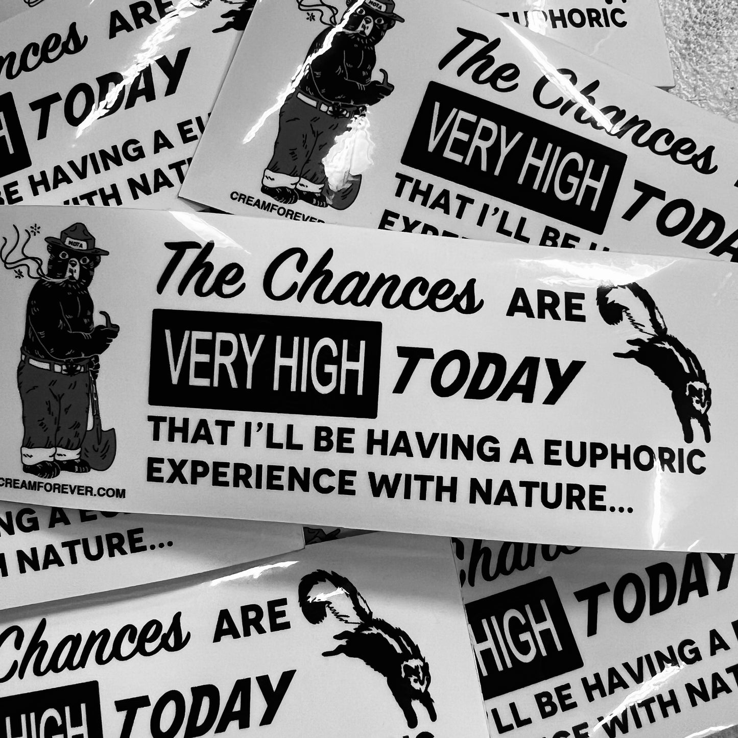 "Euphoric Experience" - 5.5" x 2" Bumper Sticker