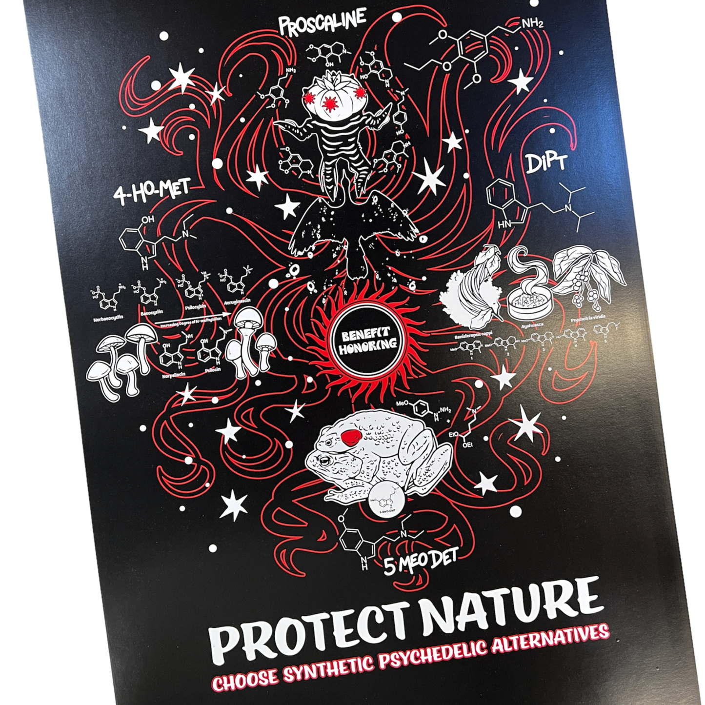 "Protect Nature" - 11" x 17" Poster