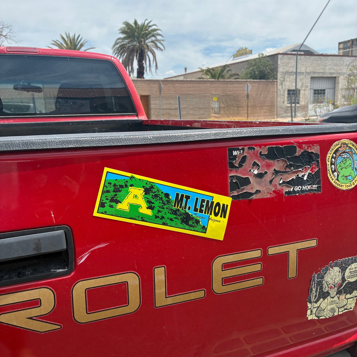 "Mt Lemon" - 9" x 3" Bumper Sticker
