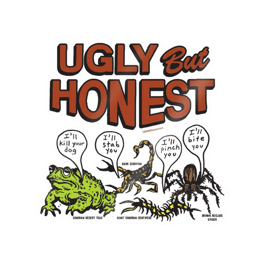 "Ugly But Honest" - 4" x 4" Sticker