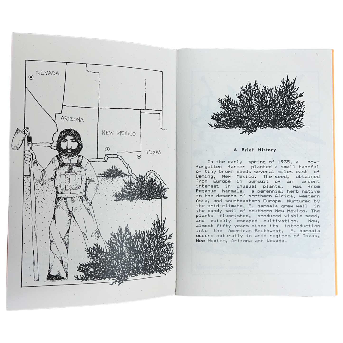 "Peganum Harmala" - The Hallucinogenic Herb of the American Southwest Pamphlet - 2nd Printing