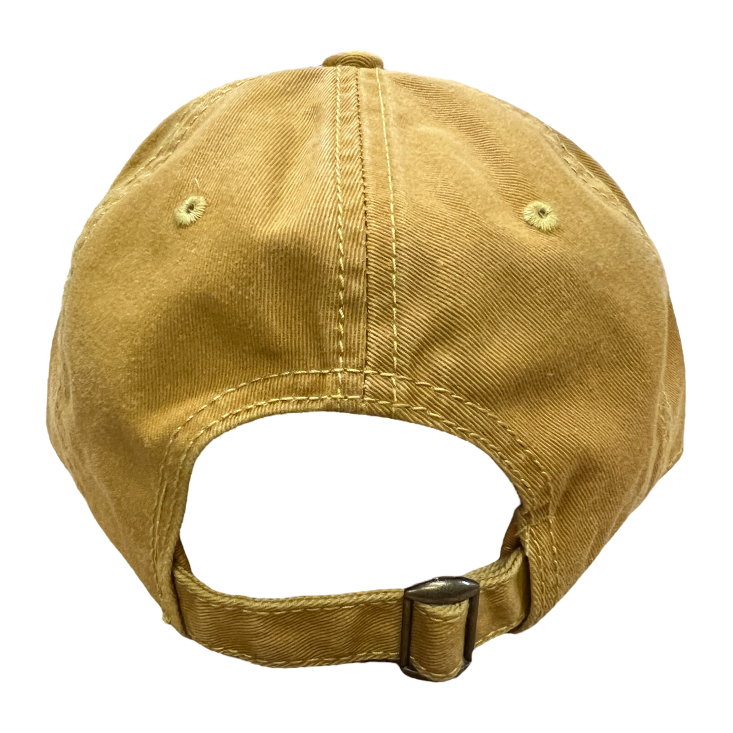 "THS Gila Cap" - Tucson Herpetological Society Hat